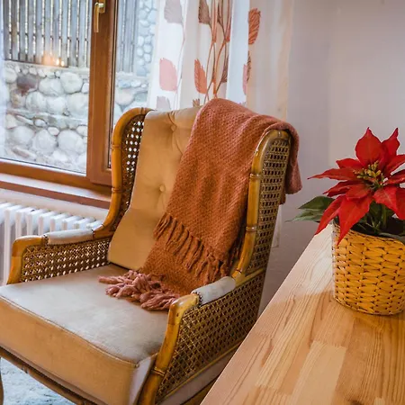 Cozy Luxurious Next To Borovets And Rila Mountain דירה גובדרצי