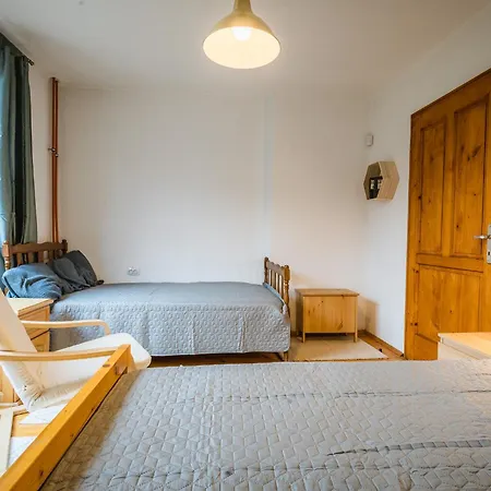 Cozy Luxurious Next To Borovets And Rila Mountain דירה גובדרצי