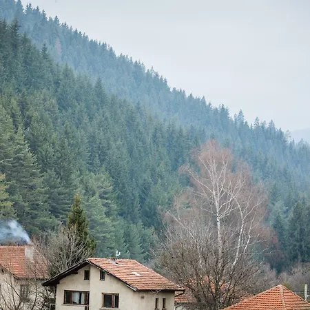 Cozy Luxurious Next To Borovets And Rila Mountain דירה גובדרצי