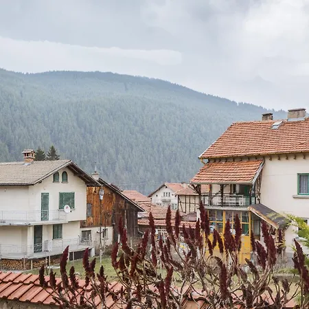 Cozy Luxurious Next To Borovets And Rila Mountain דירה *
