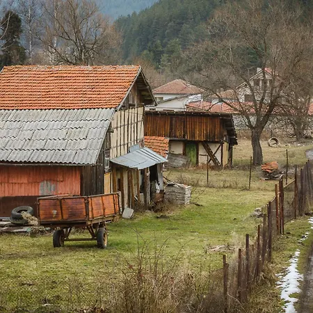 Cozy Luxurious Next To Borovets And Rila Mountain דירה גובדרצי