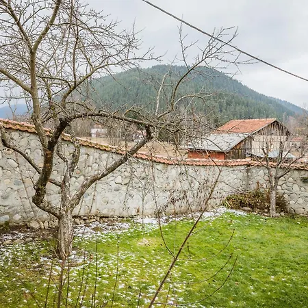 דירה Cozy Luxurious Next To Borovets And Rila Mountain גובדרצי